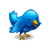 Twitter Icon